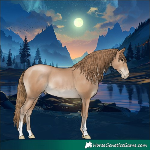Horse Color:Black Pearl 