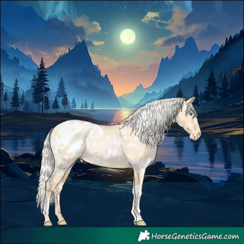 Horse Color:White Spotted Silver Smoky Grullo Pearl Appaloosa Rabicano