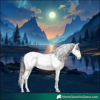 Horse Color:Grullo Sabino Near Leopard Rabicano