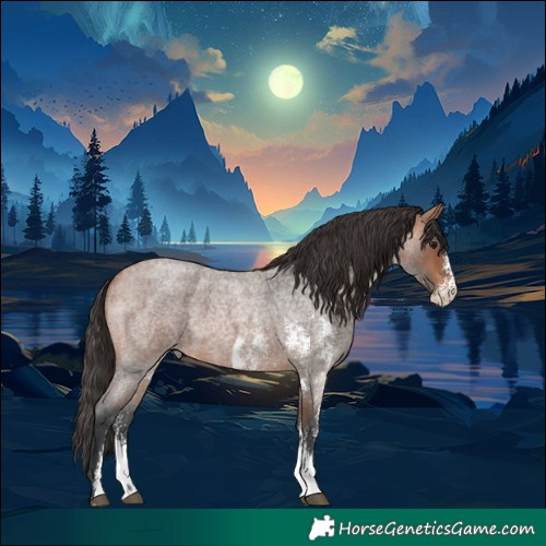 Horse Color:Bay Roan Sabino