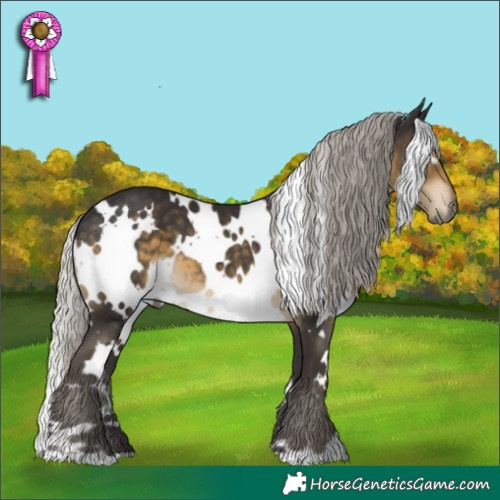 Horse Color:White Spotted Silver Smoky Black