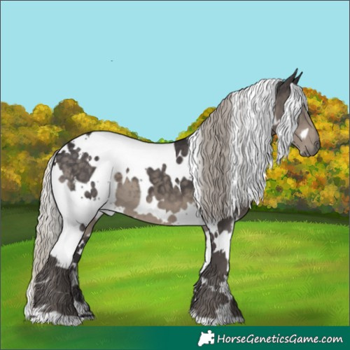 Horse Color:White Spotted Silver Smoky Black