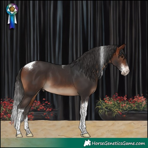 Horse Color:Bay Sabino Tobiano