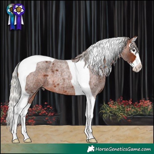 Horse Color:Silver Brown Roan Splash Tobiano 