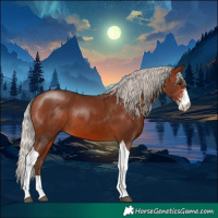 Horse Color:Silver Bay Sabino Tobiano 