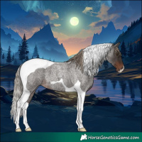 Horse Color:Liver Red Roan Tobiano 