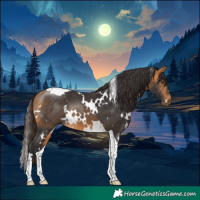 Horse Color:White Spotted Buckskin Tobiano 