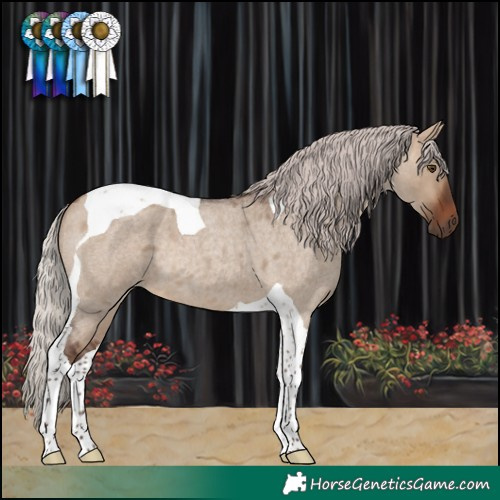 Horse Color:Silver Brown Roan Dun Tobiano 