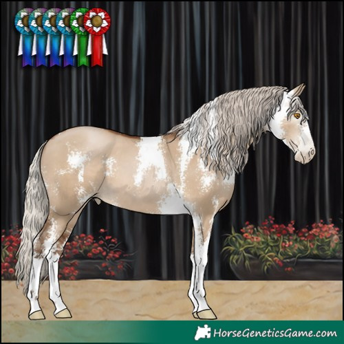Horse Color:Gray Silver Grullo Pearl Sabino 