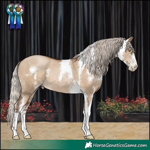 Horse Color:Gray Silver Grullo Pearl Sabino 