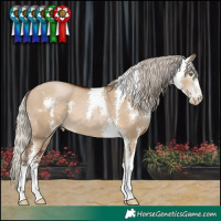 Horse Color:Gray Silver Grullo Pearl Sabino