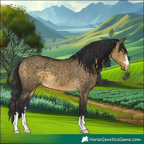 Horse Color:Buckskin Dun