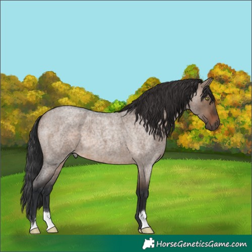 Horse Color:Brown Roan Dun 
