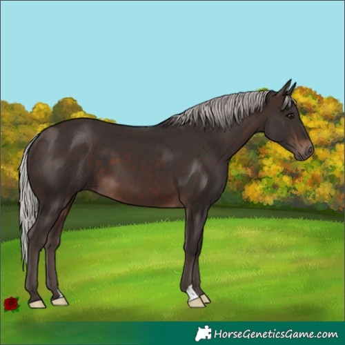 Horse Color:Silver Brown