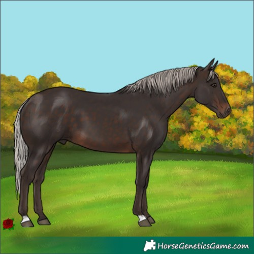 Horse Color:Silver Brown 