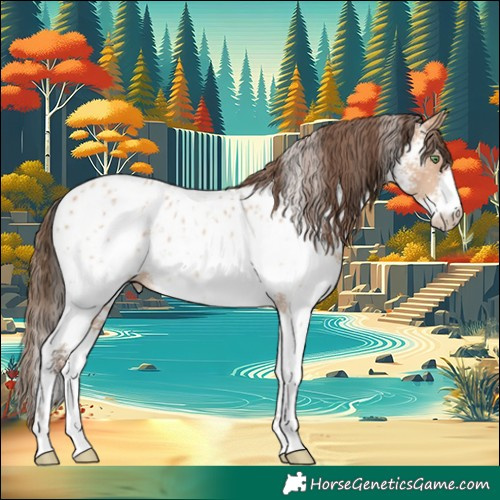 Horse Color:Amber Champagne Sabino Near Leopard