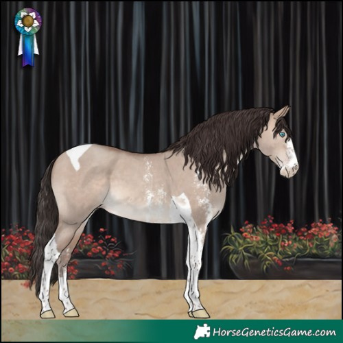 Horse Color:Sable Champagne Dun Sabino Tobiano