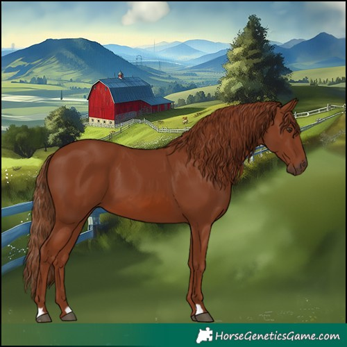Horse Color:Chestnut 