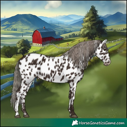 Horse Color:Liver Chestnut Mushroom Appaloosa