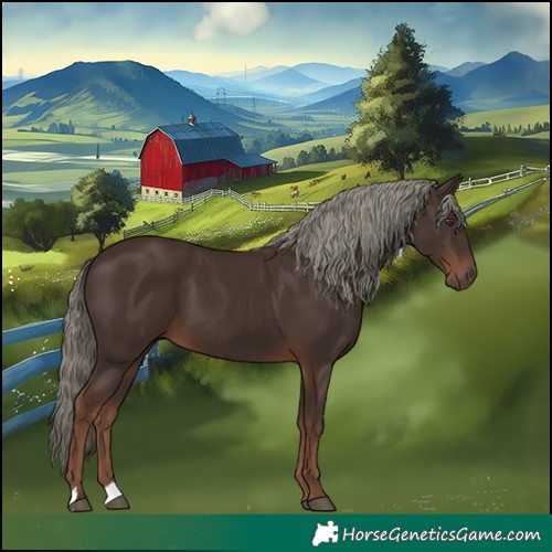 Horse Color:Liver Chestnut Mushroom 