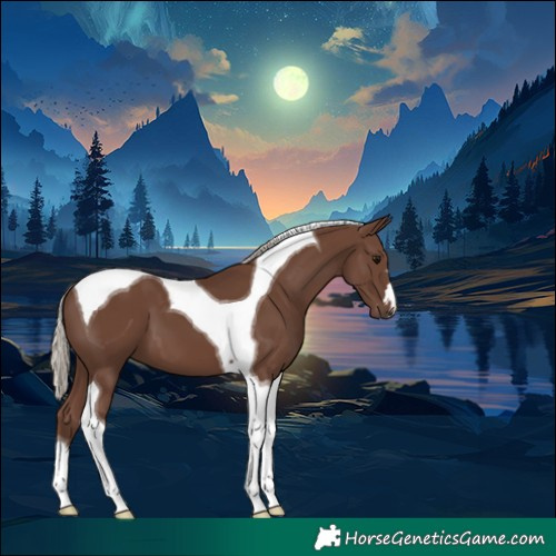Horse Color:Silver Black Tobiano