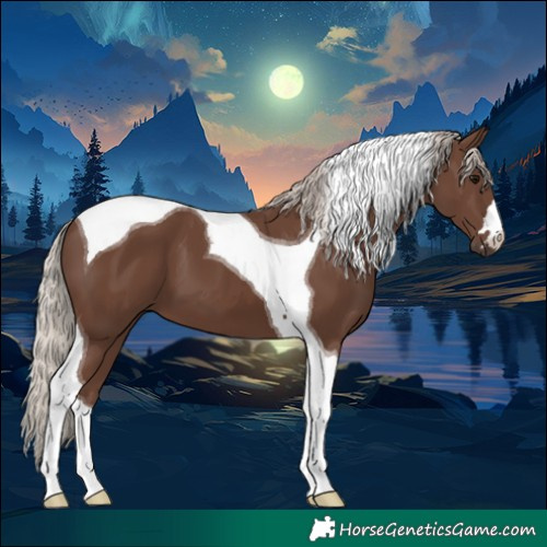 Horse Color:Silver Black Tobiano 
