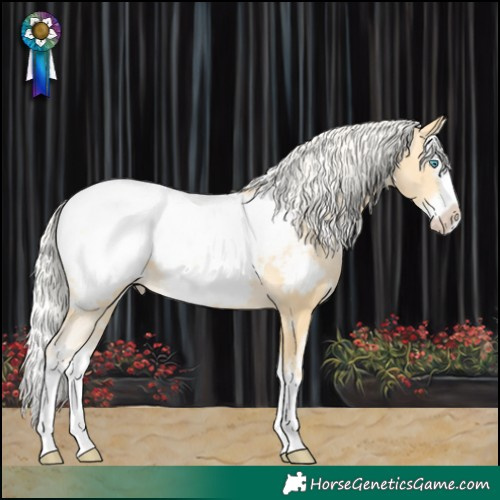 Horse Color:White Spotted Silver Buckskin Pearl Splash Appaloosa