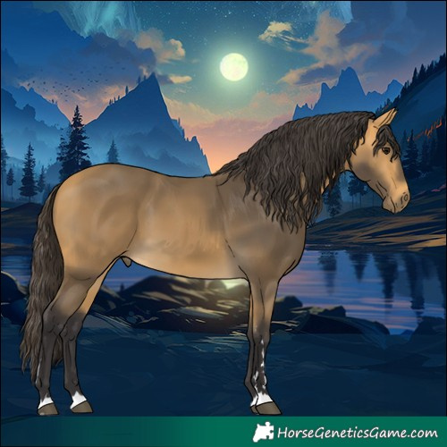 Horse Color:Buckskin