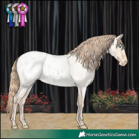 Horse Color:Perlino Roan Dun Blanket 