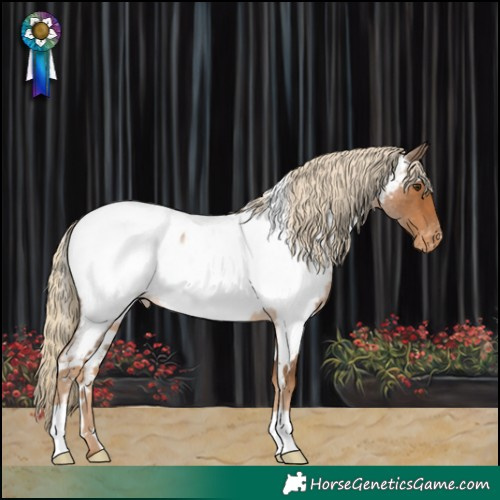 Horse Color:White Spotted Chocolate Palomino Roan Near Fewspot Rabicano