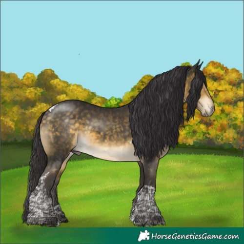 Horse Color:Buckskin Mushroom Tobiano 