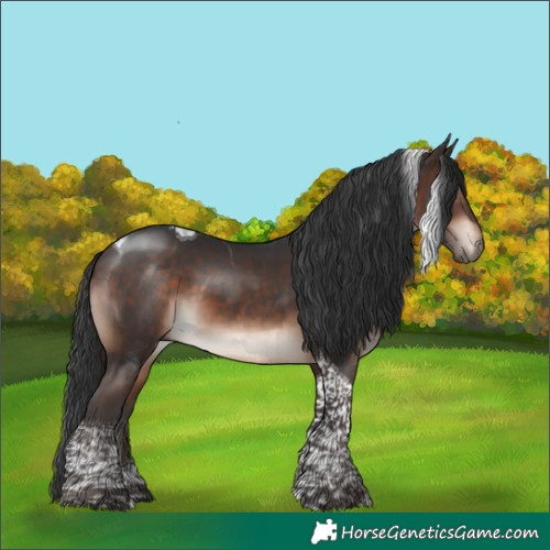 Horse Color:Bay Mushroom Tobiano 