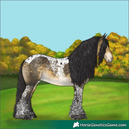 Horse Color:Buckskin Mushroom Tobiano 