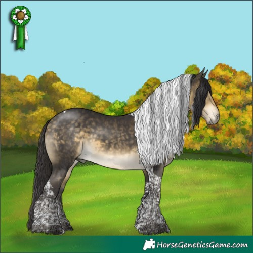 Horse Color:Buckskin Mushroom Tobiano