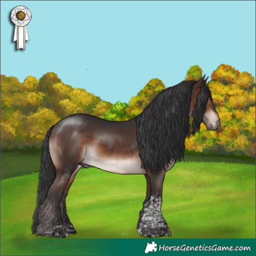 Horse Color:Bay Mushroom Tobiano 