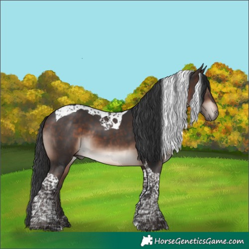 Horse Color:Bay Mushroom Tobiano 