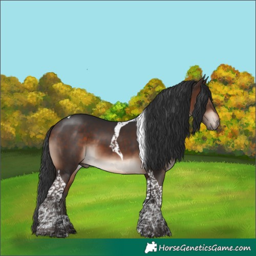 Horse Color:Bay Mushroom Tobiano