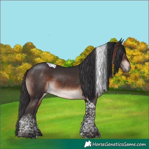 Horse Color:Bay Mushroom Tobiano