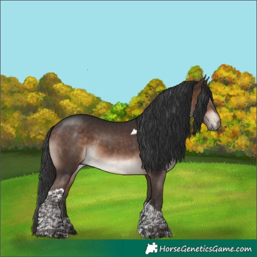 Horse Color:Bay Mushroom Tobiano 