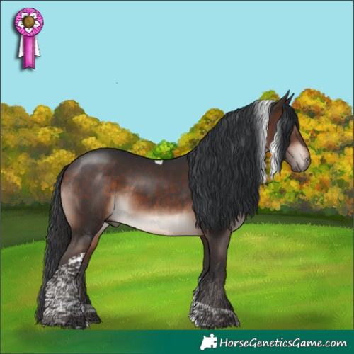 Horse Color:Bay Mushroom Tobiano