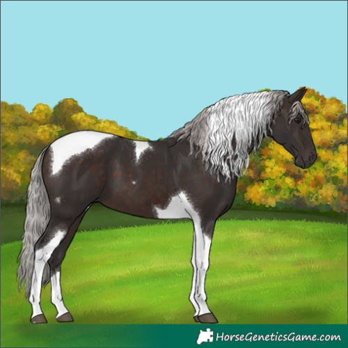 Horse Color:Silver Brown Mushroom Tobiano 