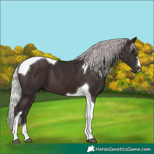 Horse Color:Silver Brown Mushroom Tobiano 