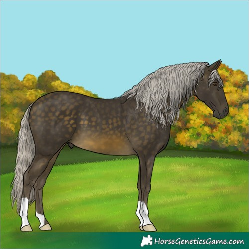 Horse Color:Silver Buckskin Mushroom