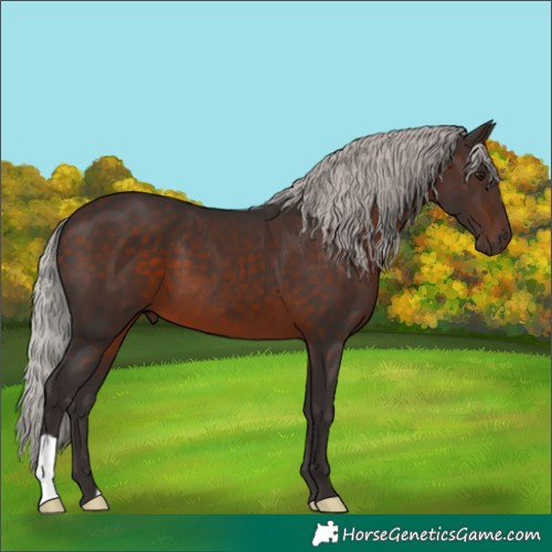 Horse Color:Silver Brown Mushroom