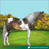 Horse Color:Silver Buckskin Mushroom Tobiano