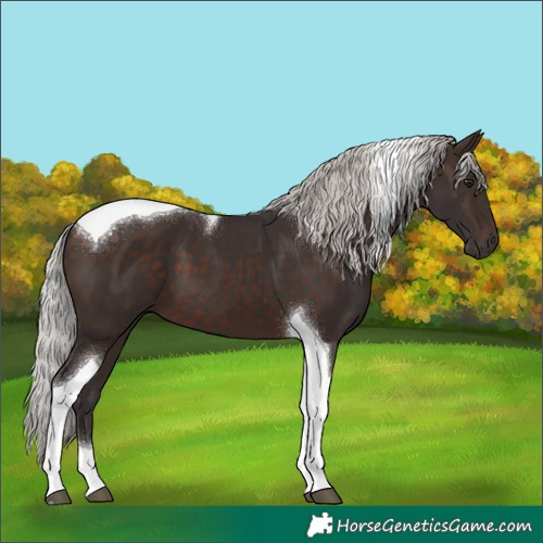 Horse Color:Silver Brown Mushroom Tobiano