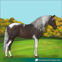Horse Color:Silver Brown Mushroom Tobiano