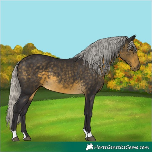 Horse Color:Silver Buckskin Mushroom 