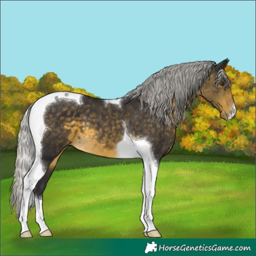 Horse Color:Silver Buckskin Mushroom Tobiano