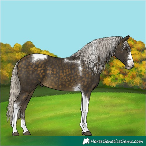 Horse Color:Silver Buckskin Mushroom Tobiano